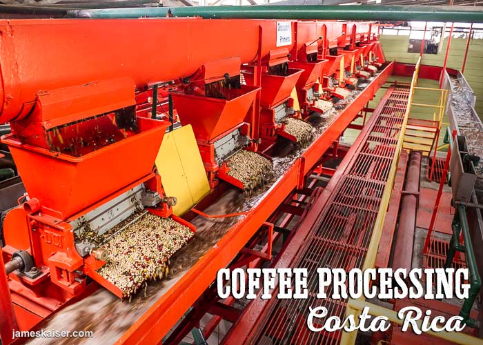 Mechanical coffee sorting