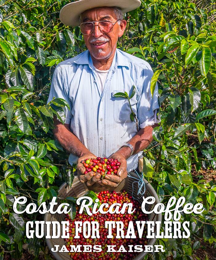Costa Rican coffee travel guide