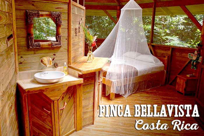 Finca Bellavista Treehouse Community