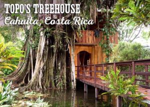 Topo's Treehouse, Cahuita, Costa Rica