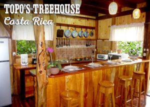Topos Treehouse kitchen