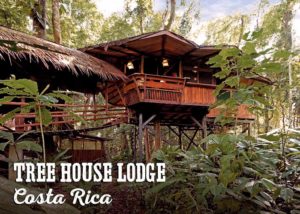Treehouse Lodge, Costa Rica