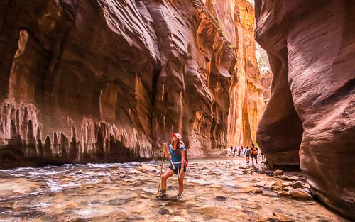 Zion National Park Guide