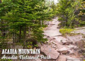 Acadia Mountain Trail