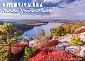 Autumn in Acadia National Park, Maine
