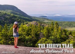 The Beehive with a view of Champlain Mountain