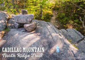Cairn and blue blaze, Cadillac Mountain North Ridge Trail