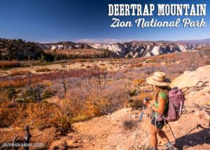 Hiking to Deertrap Mountain, Zion National Park