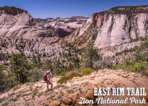 East Rim Trail, Zion National Park
