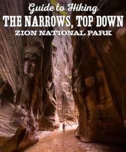 Guide to Hiking The Narrows, Top Down, Zion National Park