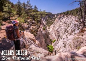 Jolley Gulch, East Rim Trail, Zion National Park, Utah