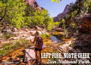 Hiking the Left Fork of North Creek, Zion National Park