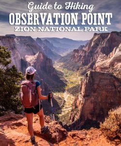 Guide to Hiking Observation Point, Zion National Park