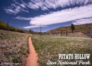 Potato Hollow, Zion National Park