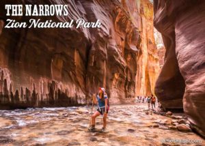 Hiker in The Narrows, Zion National Park