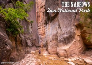 The Narrows Top-Down, Zion National Park