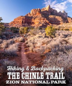 Guide to Hiking the Chinle Trail, Zion National Park, Utah
