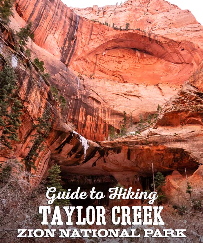 Guide to hiking Taylor Creek Trail, Kolob Canyons, Zion National Park
