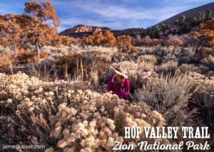 Sagebrush Valley, Hop Valley Trail, Zion National Park