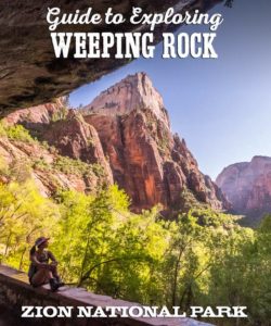 Guide to Exploring Weeping Rock, Zion National Park