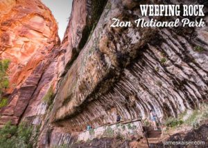 Weeping Rock limestone tufa, Zion National Park