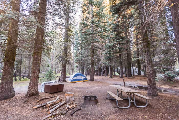 Campamento Tamarack Flat , Parque Nacional Yosemite