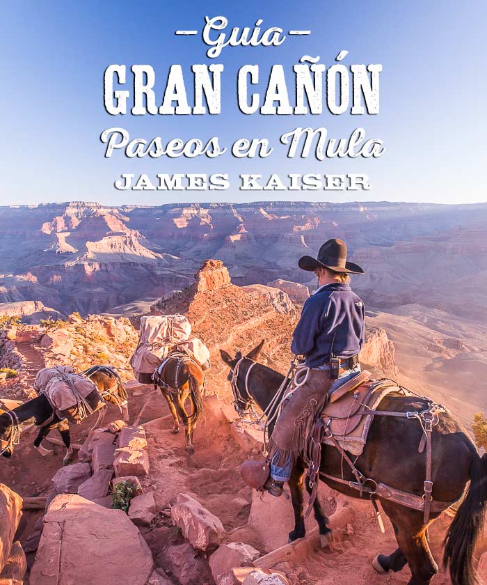 Paseos en mula en el Gran Cañón