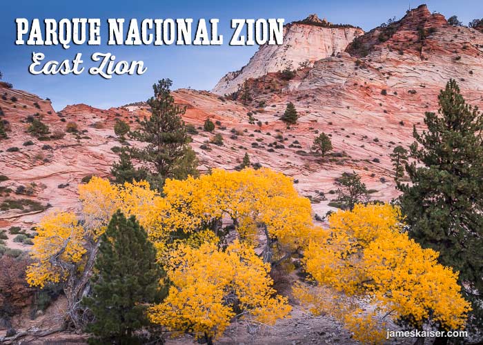 Cambio de colores vegetación en East Zion, Parque Nacional Zion